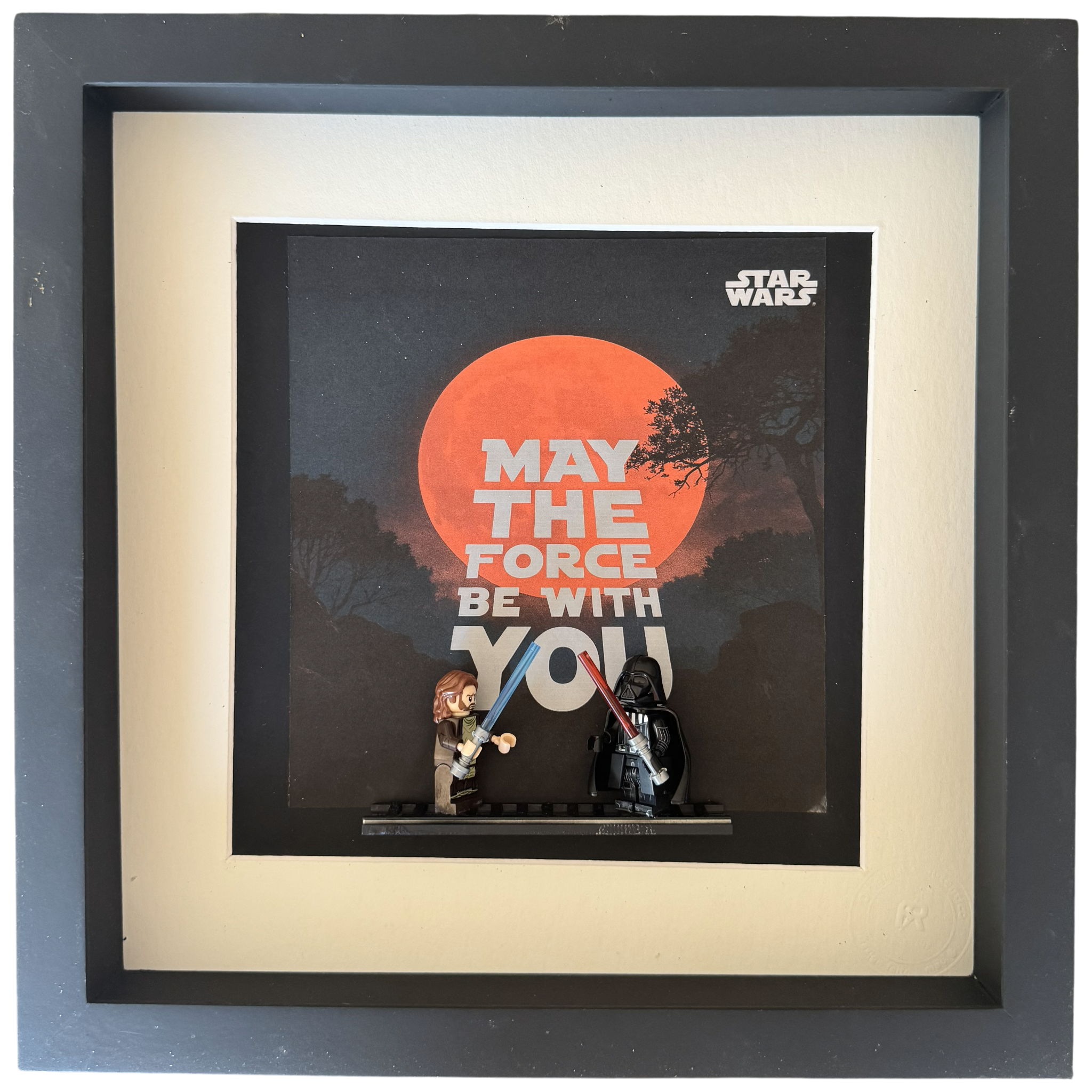 May the Force Be With You (LEGO Star Wars Duel)